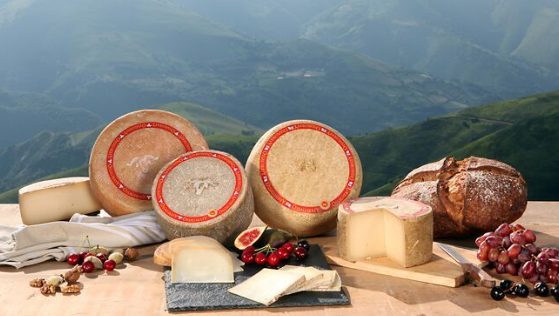 Photo de fromages de brebis - Ardi gasna